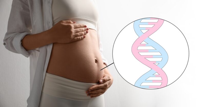 【2025年版】NIPT(新型出生前診断)のすべて：費用、精度、認可・無認可クリニックの選び方、陽性時の対応まで専門医が徹底解説