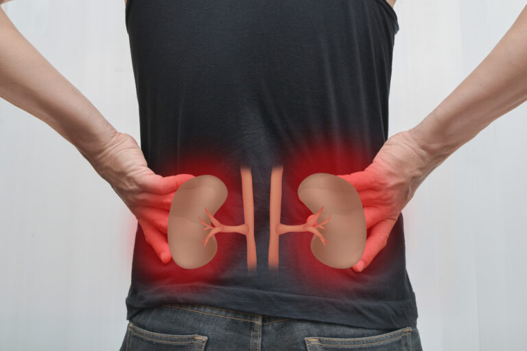 沈黙の国民病「慢性腎臓病（CKD）」：日本の2000万人が知るべき最新の予防・診断・治療法
