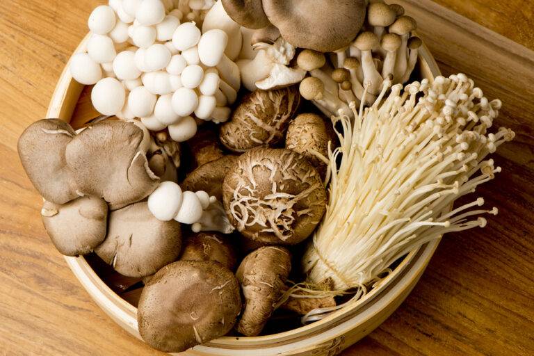 産後、きのこは食べていい？安全な種類と驚くべき健康効果、簡単レシピの完全ガイド
