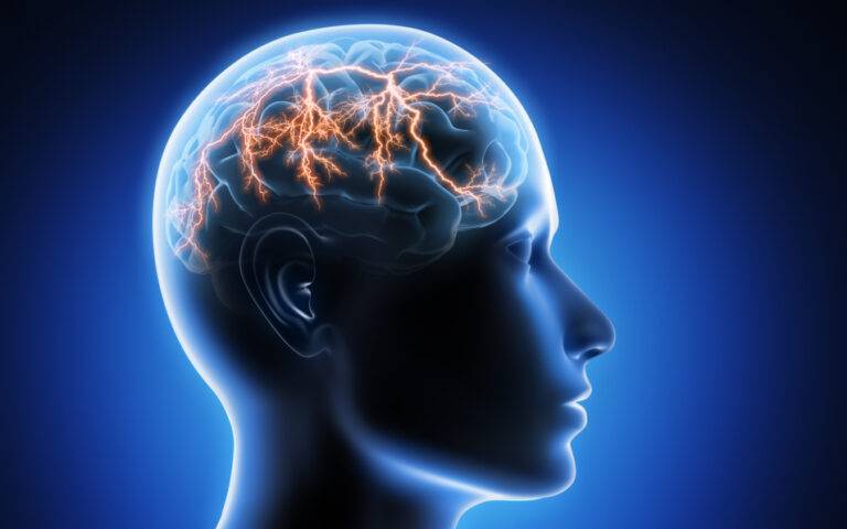 てんかんの原因と遺伝の真実:専門家による包括的解説 14 てんかんの原因と遺伝の真実:専門家による包括的解説