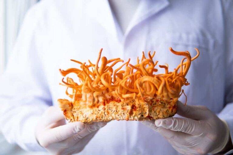 高血圧への冬虫夏草：科学的根拠と安全性を医師が徹底解説