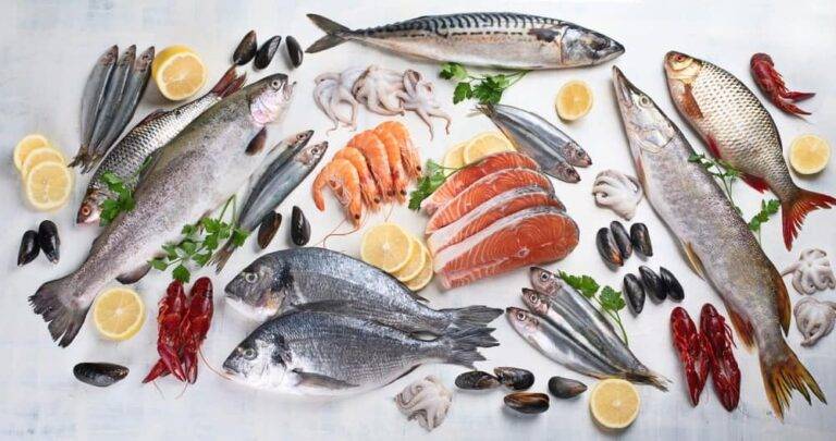 妊婦さんのための魚完全ガイド：安心して食べられる種類と水銀・食中毒のリスク徹底解説
