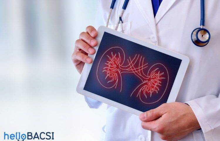 【科学的根拠に基づく】DMSA腎シンチグラフィー完全ガイド：腎瘢痕から機能評価まで、適応・検査・読影のすべて