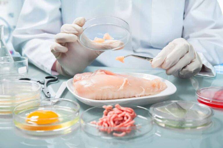 日本の食中毒完全ガイド：原因、統計、そしてあなたのための予防行動計画
