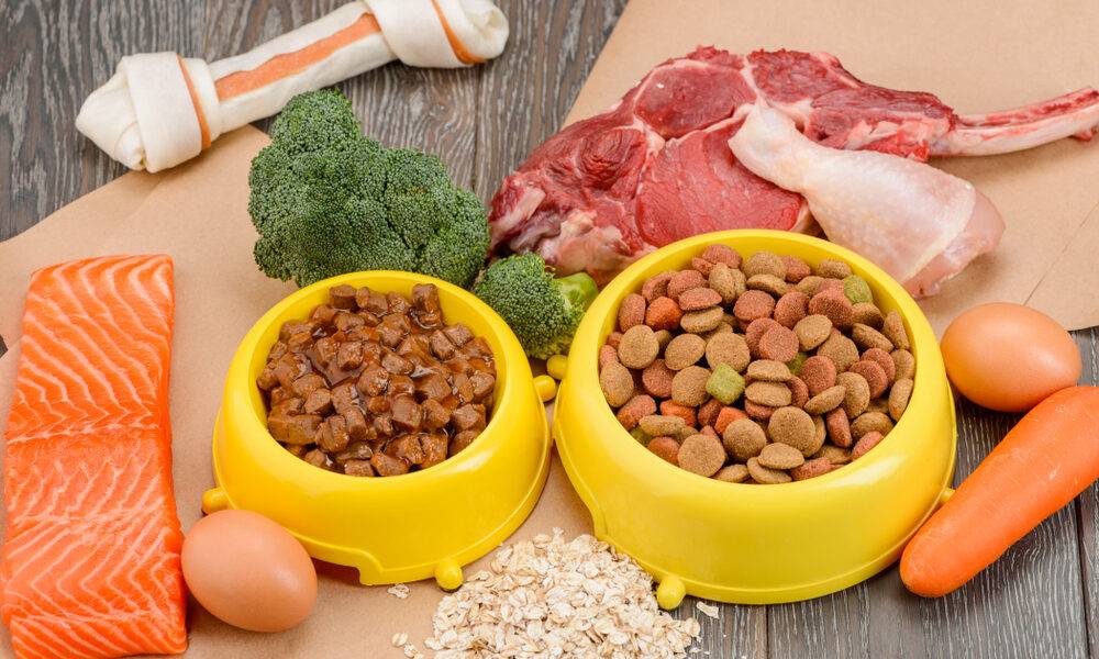 骨折を早く治す食べ物：効果的な食事と避けるべき食品【専門家が徹底解説】