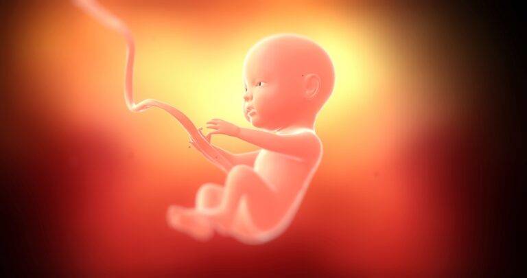 赤ちゃんはお腹の中で目を開くの？妊娠27週頃から。光を感じる仕組みと視覚の発達