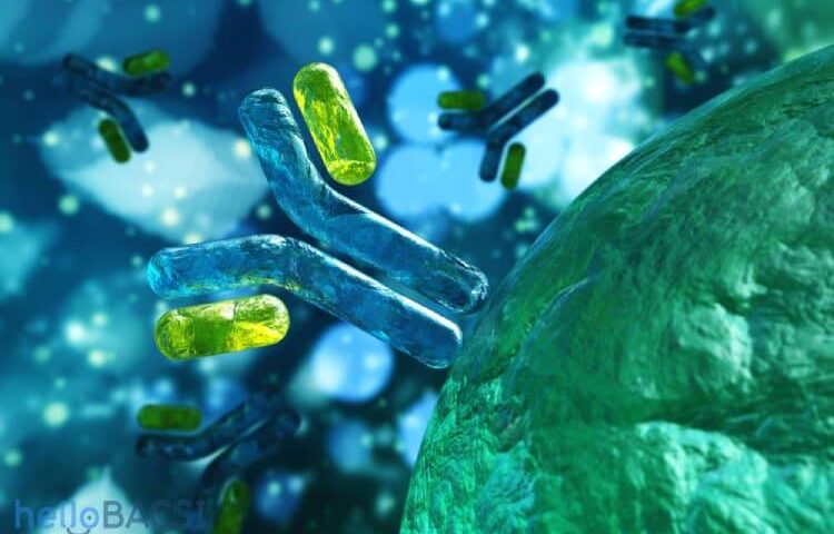 IgA腎症のすべて：原因、症状、最新治療薬から日本の医療費助成制度まで徹底解説
