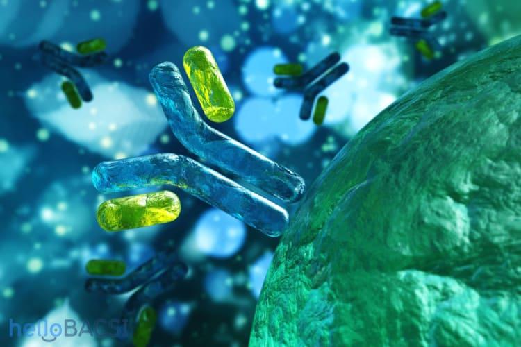 IgA腎症のすべて：原因、症状、最新治療薬から日本の医療費助成制度まで徹底解説