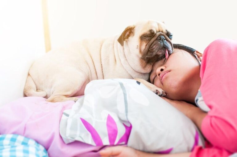 犬と猫が一緒に寝るのは安全か？ 心配無用な共存を実現する完全ガイド