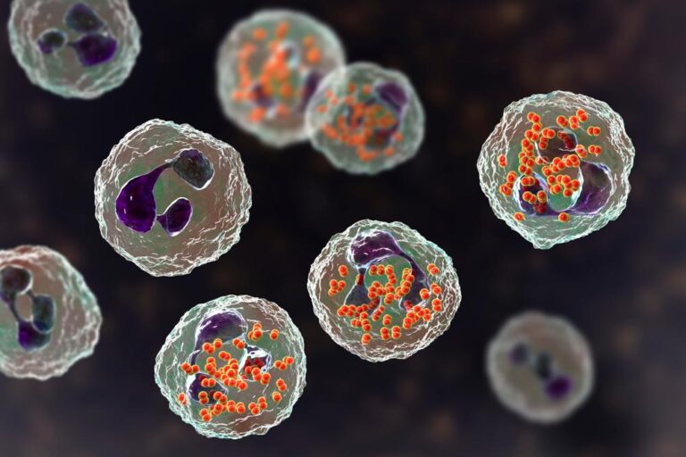 日本の淋菌感染症：現状、多剤耐性菌の脅威、そして治療と予防の完全ガイド