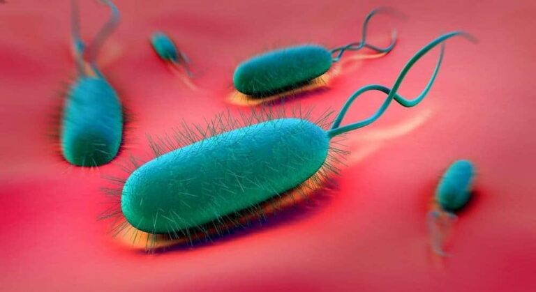 ヘリコバクター・ピロリ感染症の包括的理解：検査の必要性、2025年最新治療法、および費用に関する完全ガイド