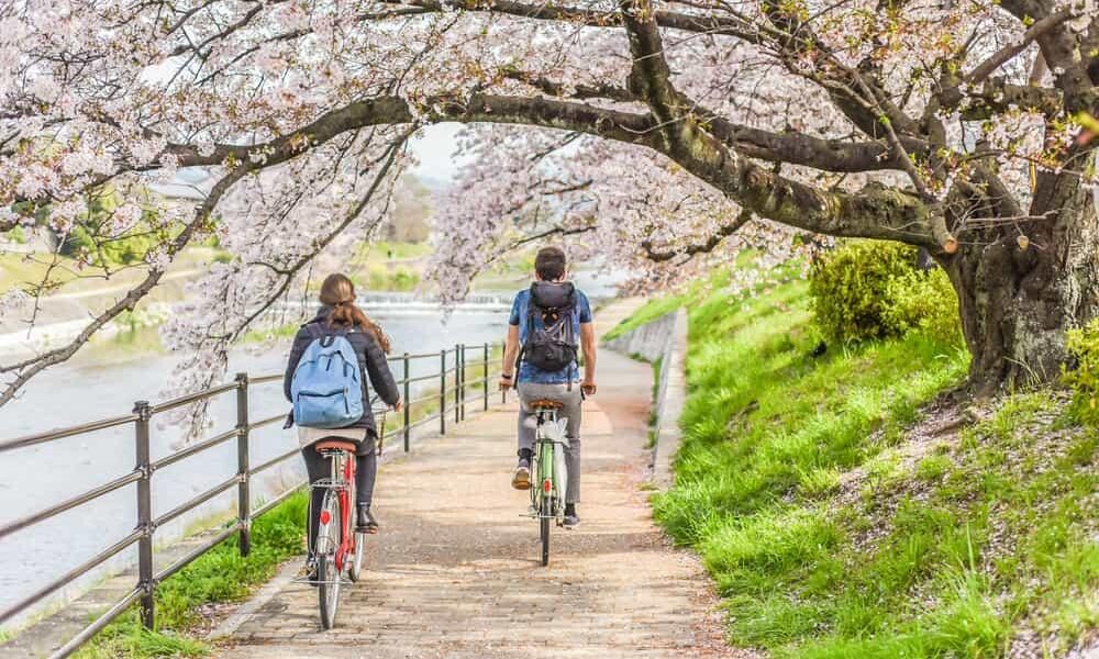 自転車でお腹の脂肪は減る？| 今すぐ真相をチェック！