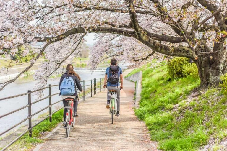 サイクリングは腹部の脂肪を減らすのか？内臓脂肪への影響と証拠に基づいた完全ガイド