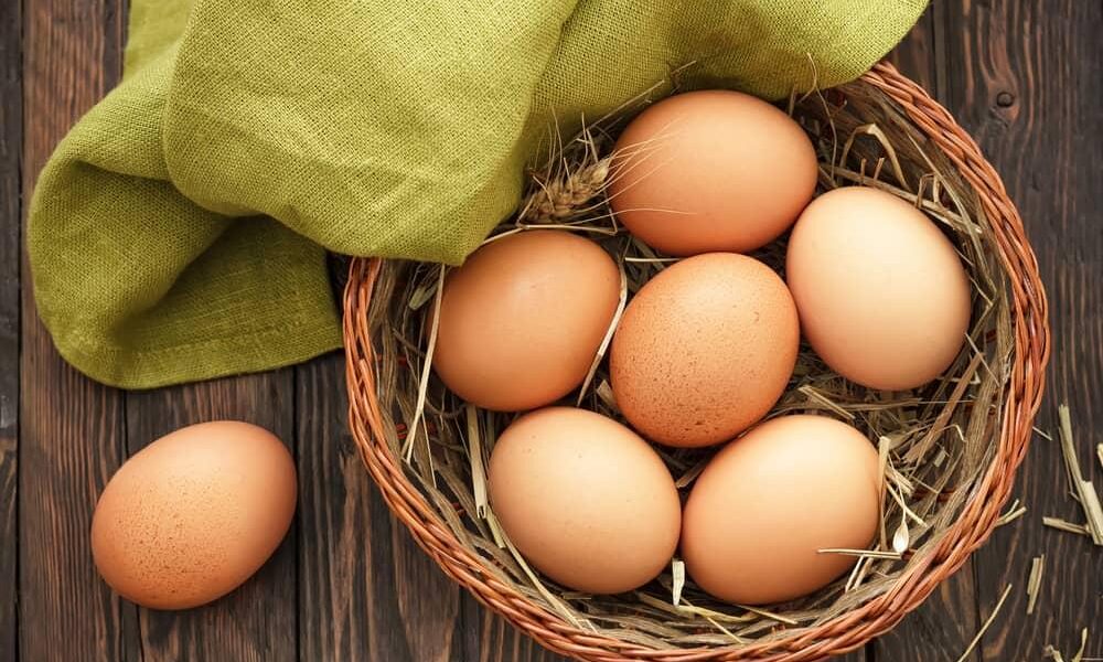 【医師監修】子どものための焼き卵完全ガイド：栄養・アレルギー対策・安全な調理法の科学的根拠