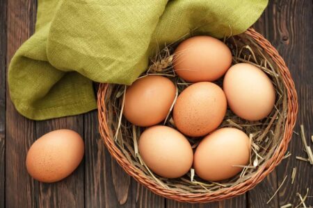 【科学的根拠に基づく】子どものための焼き卵完全ガイド：栄養・アレルギー対策・安全な調理法の科学的根拠