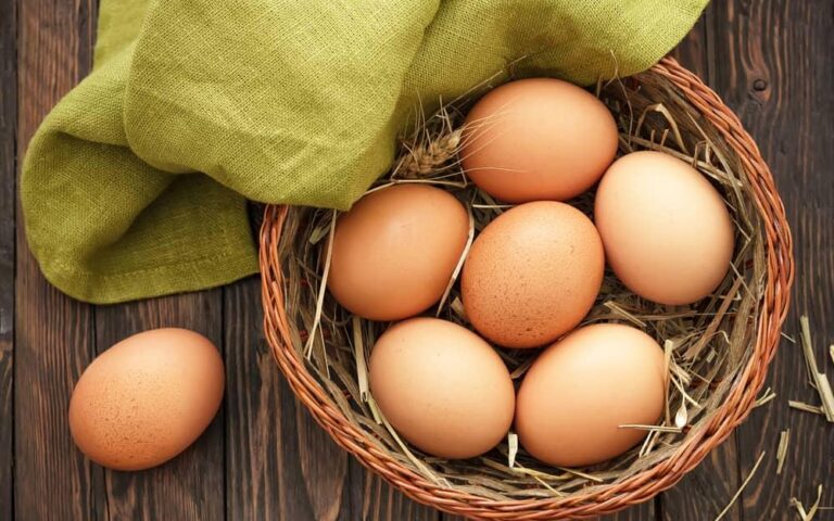 【科学的根拠に基づく】子どものための焼き卵完全ガイド：栄養・アレルギー対策・安全な調理法の科学的根拠