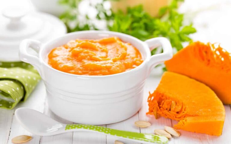 赤ちゃんのための栄養満点!かぼちゃ粥で健康的に体重アップ — 科学的根拠に基づく完全ガイド 13 赤ちゃんのための栄養満点!かぼちゃ粥で健康的に体重アップ — 科学的根拠に基づく完全ガイド