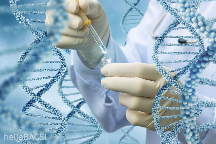 DNA鑑定の全貌：科学・法律・倫理から解き明かす、あなたのルーツと未来