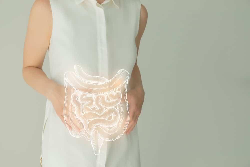 【科学的根拠に基づく】潰瘍性大腸炎の症状管理：専門医が解説する包括的ガイドとアクションプラン