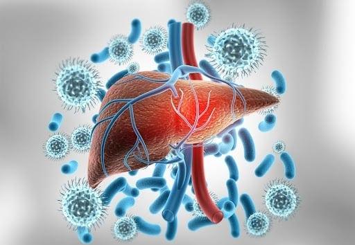 ウイルス性肝炎とは？種類、症状、最新の治療法、効果的な予防策までを専門医が徹底解説
