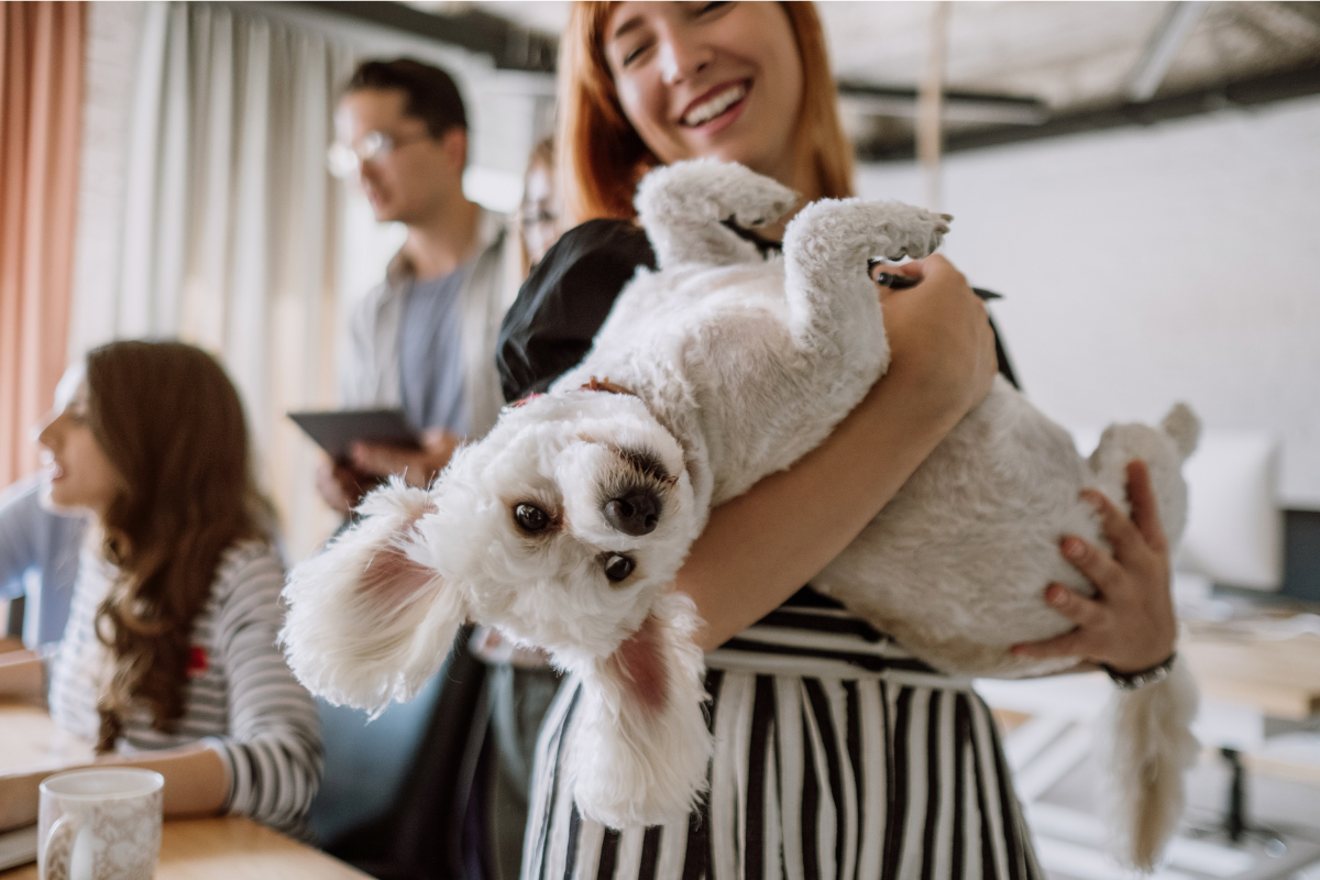 【科学的根拠に基づく】ペットとの絆がもたらす心身の健康効果のすべて：犬と猫がもたらす幸福ホルモンから医療費削減まで徹底解説