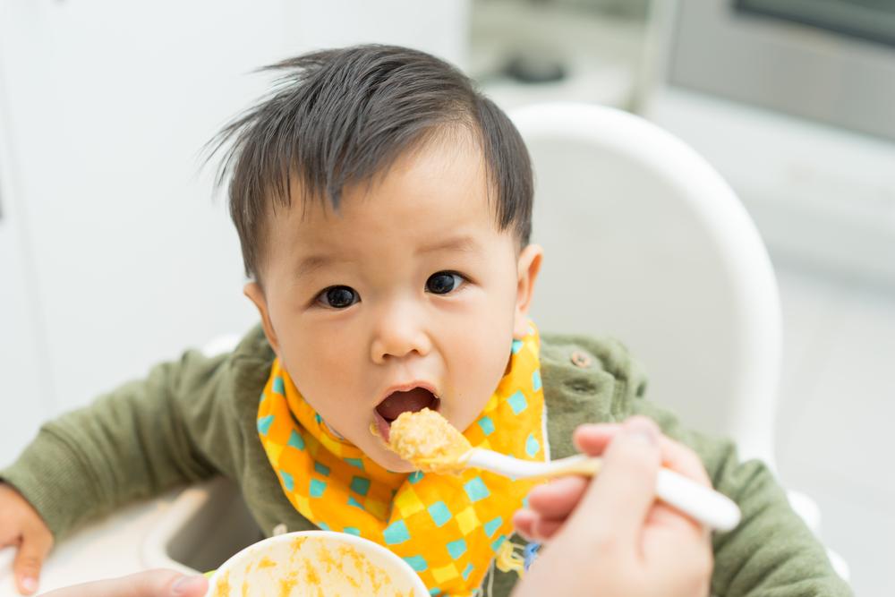 【医師監修】日本の伝統的離乳食は科学的か、時代遅れか？最新科学で解き明かす、不安を自信に変える『日本式ハイブリッド離乳法』完全ガイド