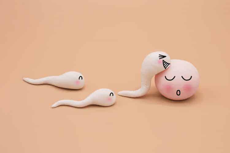 【科学的根拠に基づく】妊娠超初期症状のすべて：いつから？どんな兆候？生理前との違いと確実なサインを徹底解説