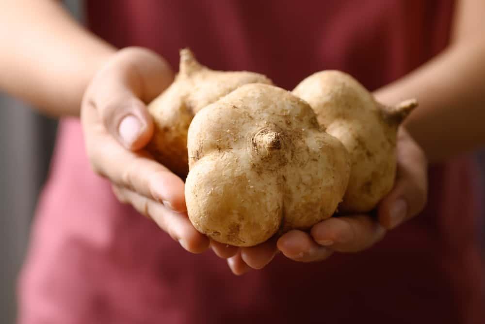 妊娠中にクワイを食べても大丈夫？産科医と管理栄養士が栄養、リスク、伝統的見解まで徹底解説