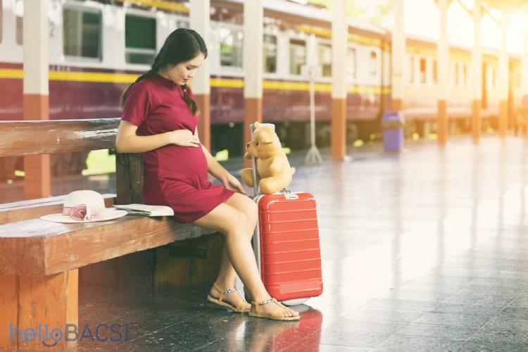 【科学的根拠に基づく】妊娠中の新幹線・鉄道旅行完全ガイド：日本の「マタ旅」を安全かつ快適に楽しむための医学的アプローチ