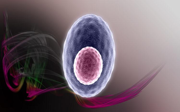【科学的根拠に基づく】慢性骨髄性白血病（CML）完全ガイド：診断、最新治療から「治療中止」を目指す新時代、そして日本の医療制度活用法まで