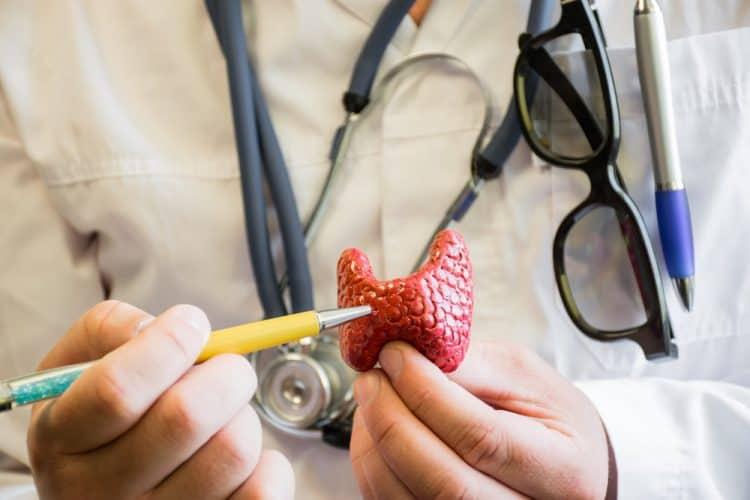 【科学的根拠に基づく】日本の甲状腺疾患 完全ガイド：隠れ甲状腺疾患の兆候から最新治療、食事療法まで徹底解説