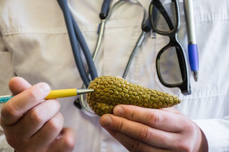 膵炎：病態生理、臨床管理、および日本の医療現場における治療展望の包括的分析