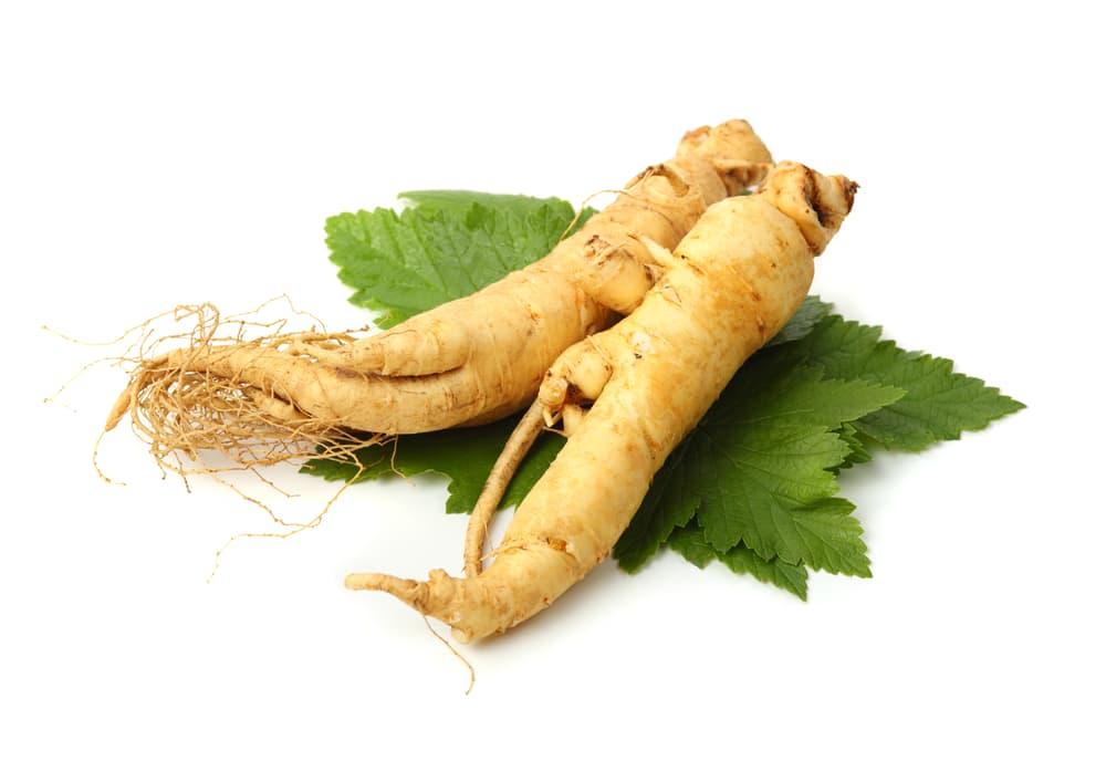 【高血圧と高麗人参・紅参】血圧は上がる？下がる？日本人のための安全な使い方ガイド