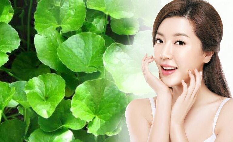 ツボクサエキス（CICA）の驚くべき肌効果とは？皮膚科学的根拠と専門家による正しい選び方を徹底解説