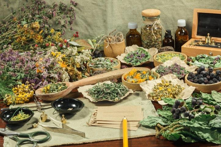 ハーブでニキビ治療は本当に効果的？皮膚科医が教える利点と潜むリスク