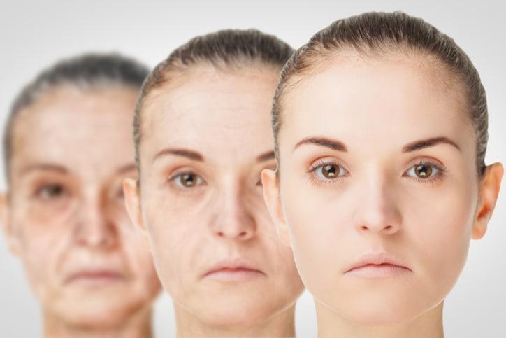 老化の科学と実践：健康長寿を実現するための完全ガイド
