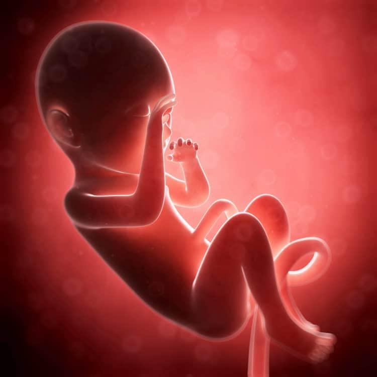 お腹の赤ちゃんはどう呼吸してるの？生命を支える神秘の仕組みと、誕生の瞬間の軌跡
