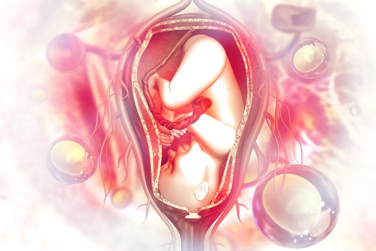 【医師監修】前置胎盤の全知識：原因、リスク、最新の管理戦略と出産方法の完全ガイド
