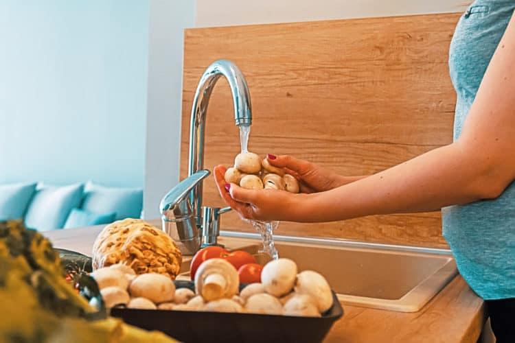 妊娠中にきのこを食べるとどうなる？母体と胎児への影響を徹底解説！