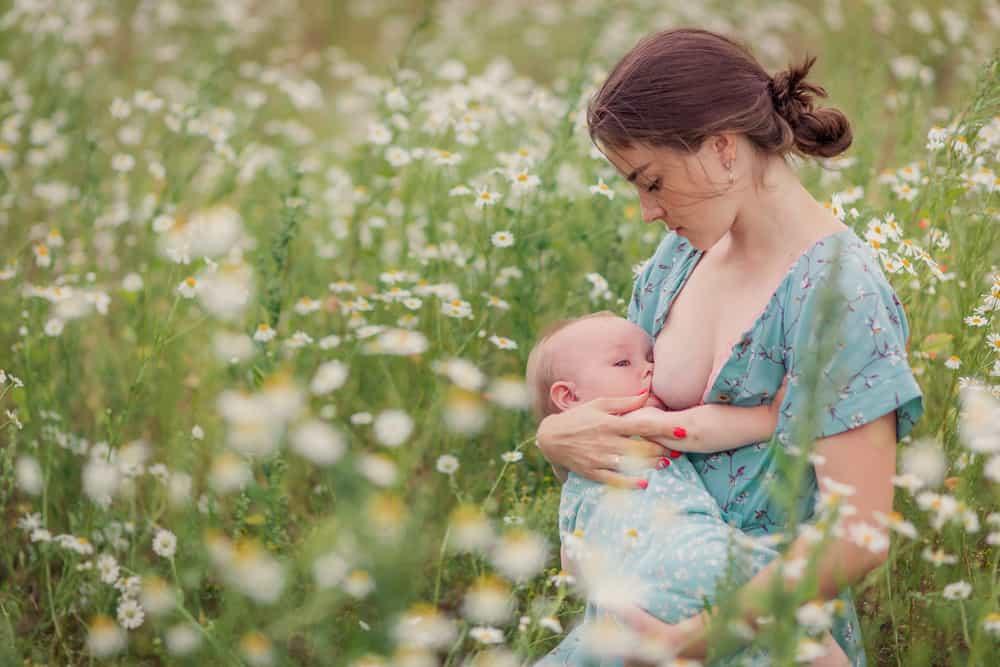 母乳の質を高めるハーブティーは本当に効果があるのか？【医師監修】科学的根拠に基づく徹底解説と安全な選び方