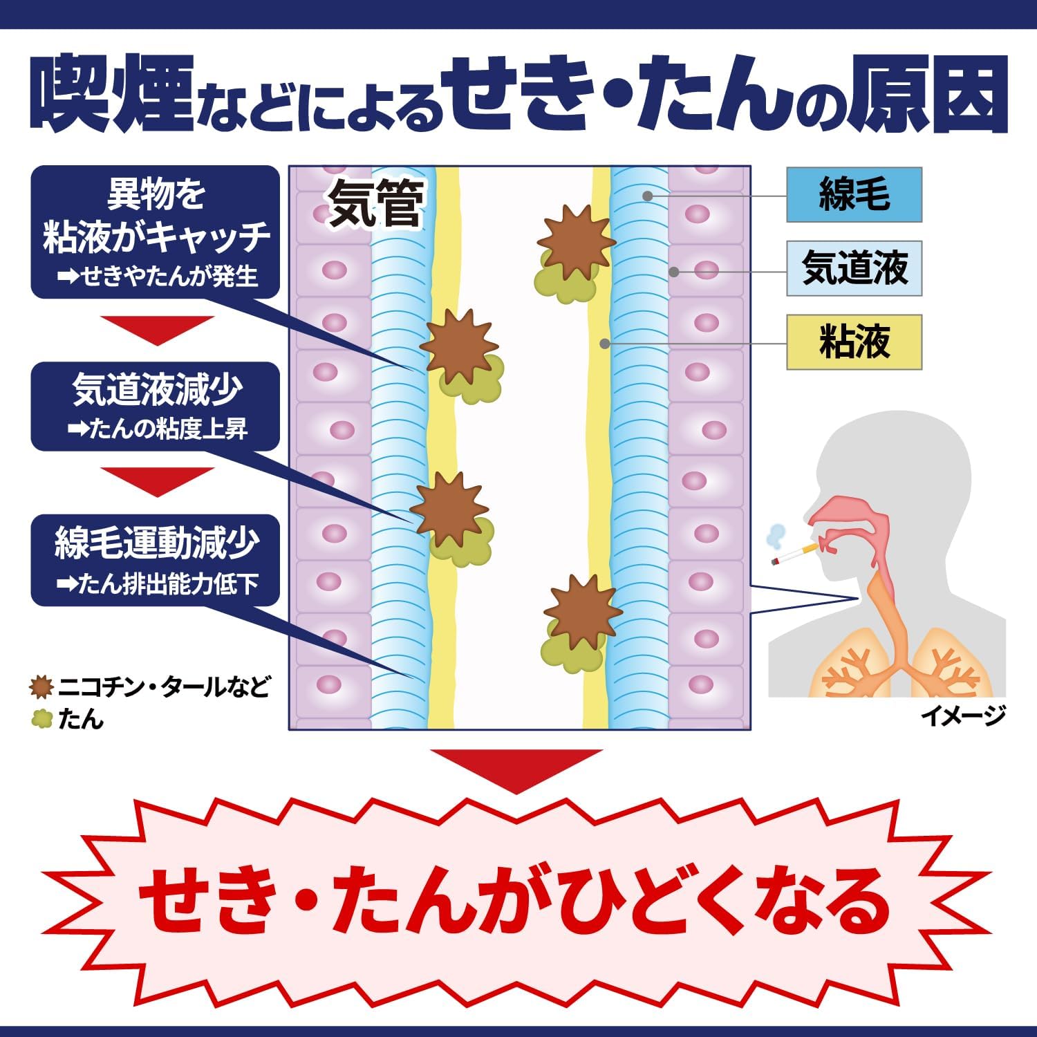 【第2類医薬品】ダスモックSPa 21mL