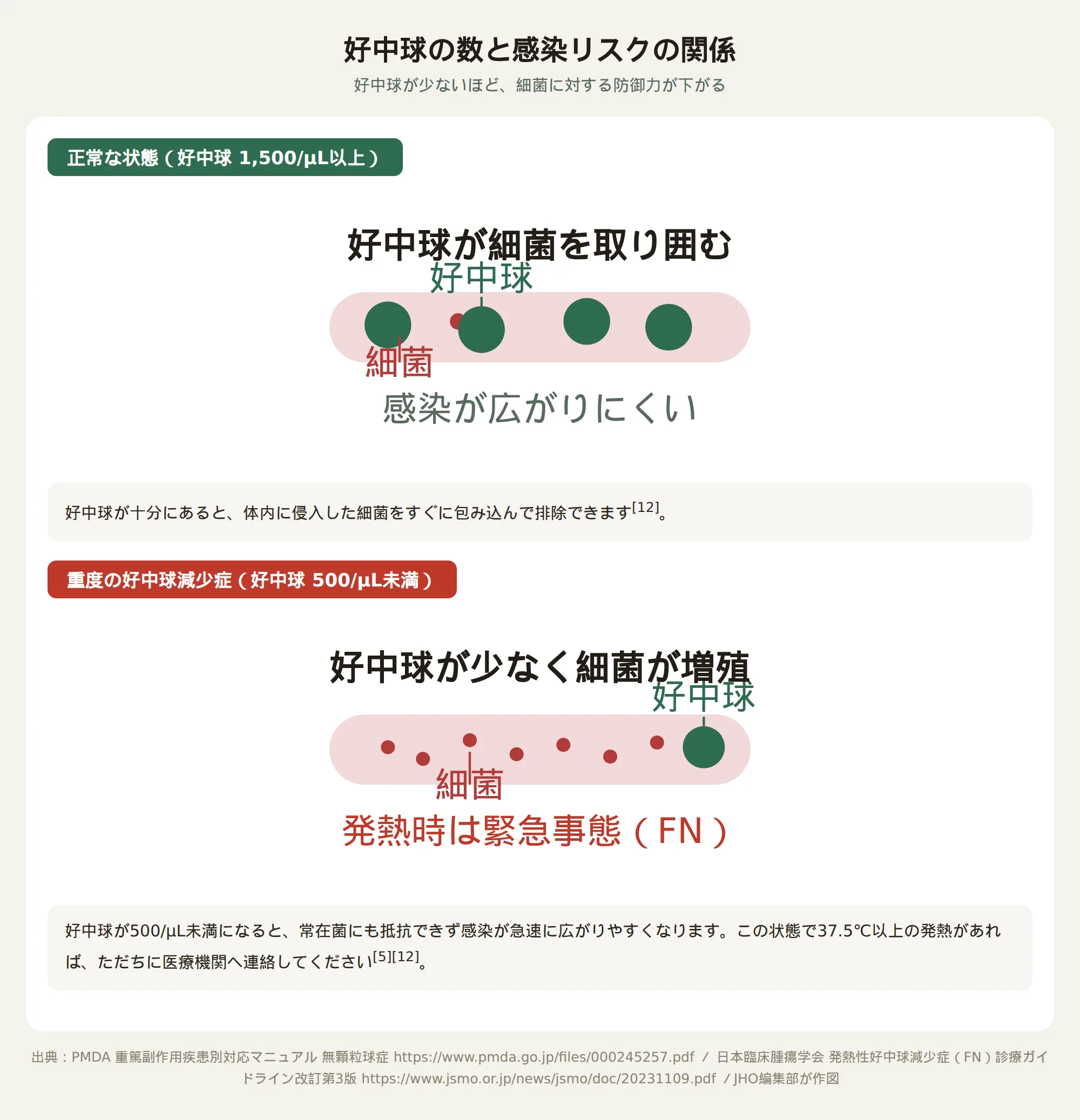 好中球の数と感染リスクの関係：正常な状態と重度の好中球減少症（好中球500未満）を示した図