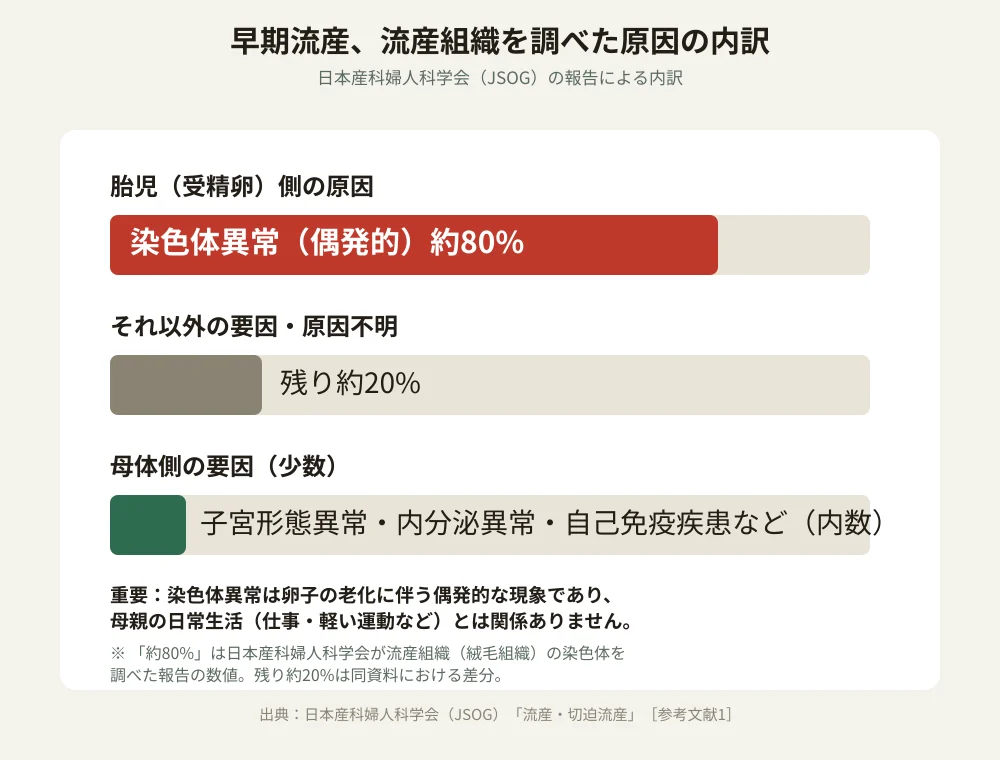 早期流産の主な原因の内訳を示す図。流産した組織を調べた報告で胎児側の染色体異常が約80%を占め、母体側の要因は少数であることを示す
