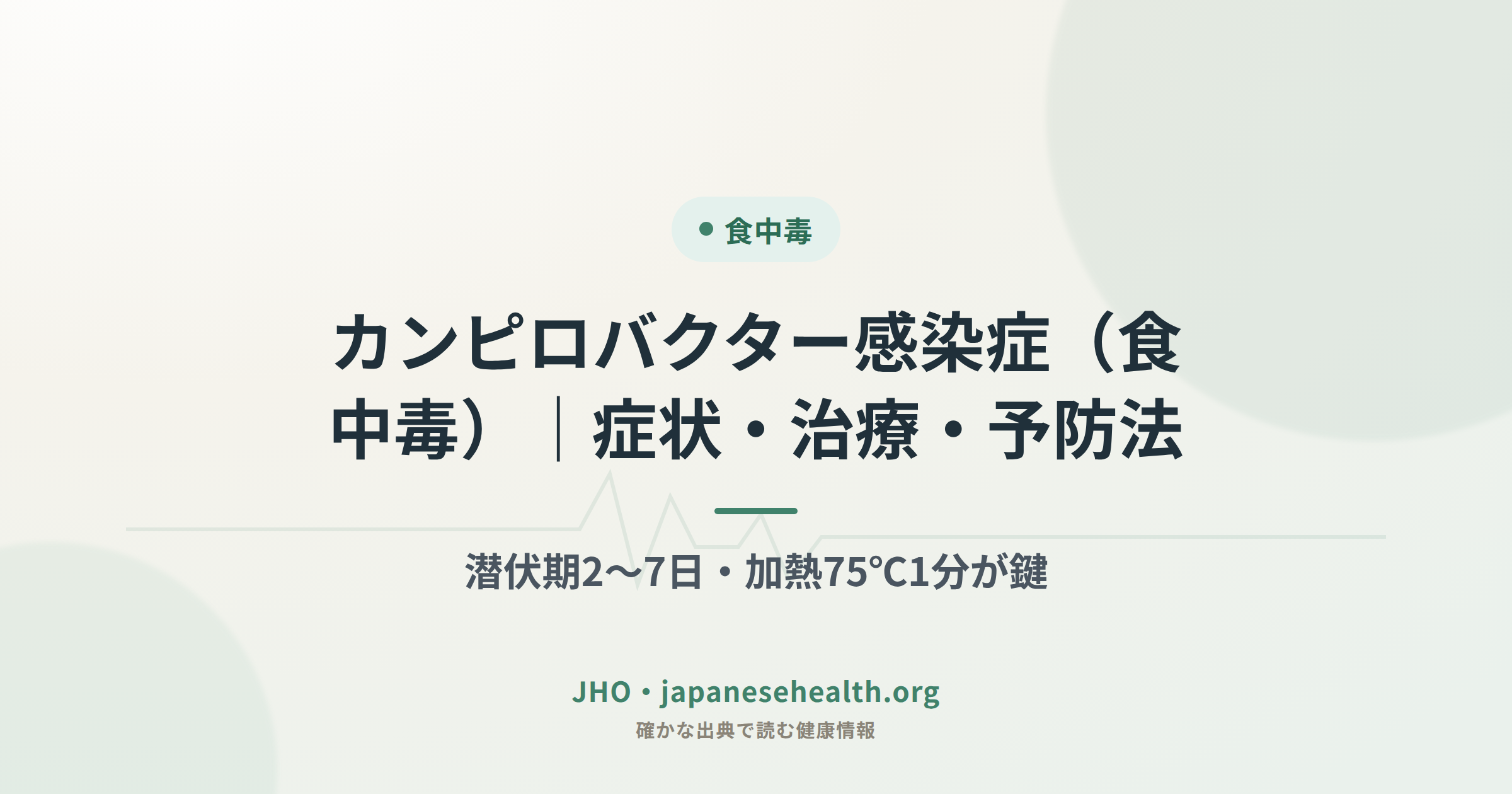 カンピロバクター感染症の症状・治療・予防法を示す図解