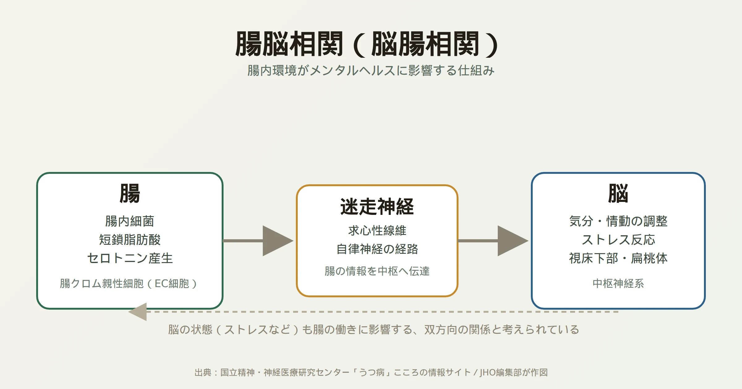 腸脳相関の図：腸内環境がメンタルヘルスに影響する仕組み