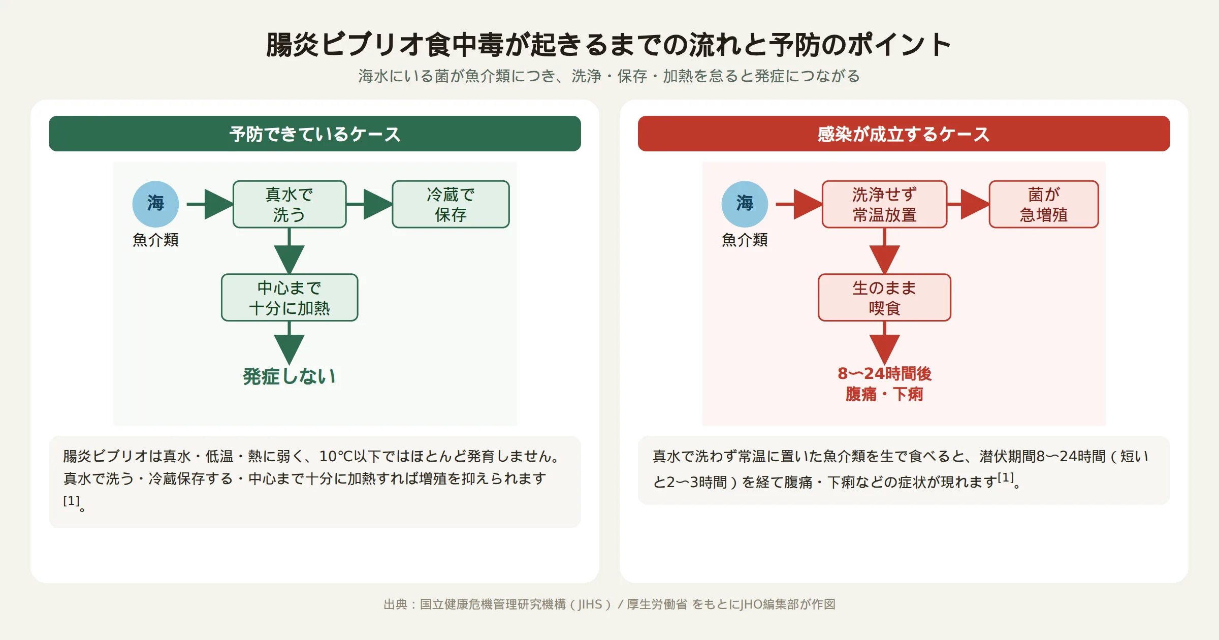 腸炎ビブリオ食中毒が起きるまでの流れと予防のポイントを示す図解
