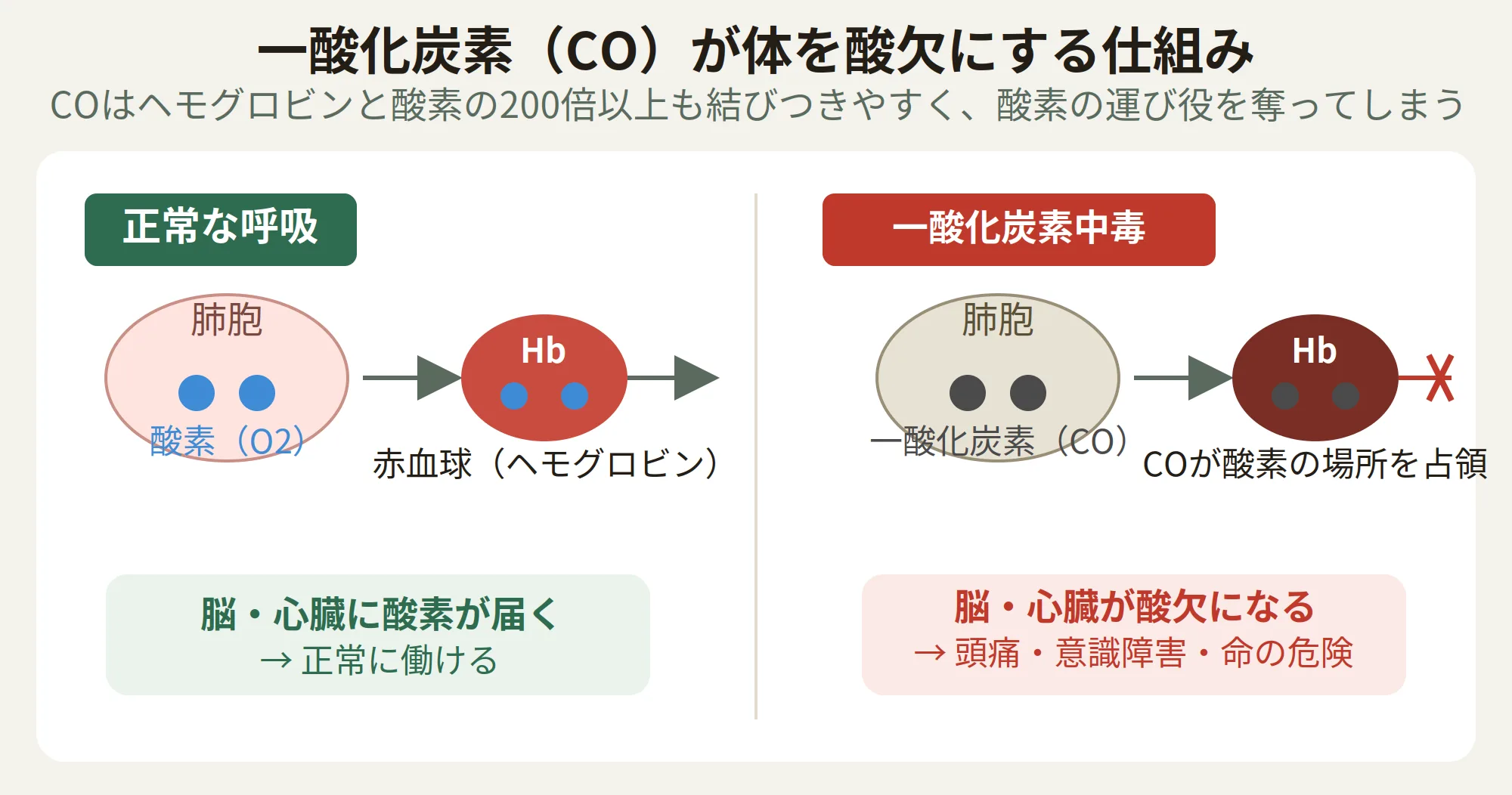 一酸化炭素が体を酸欠にする仕組みを示す図。正常な呼吸ではヘモグロビンが酸素と結合して脳や心臓に届けるが、一酸化炭素中毒では一酸化炭素がヘモグロビンを占領し、酸素が届かなくなる