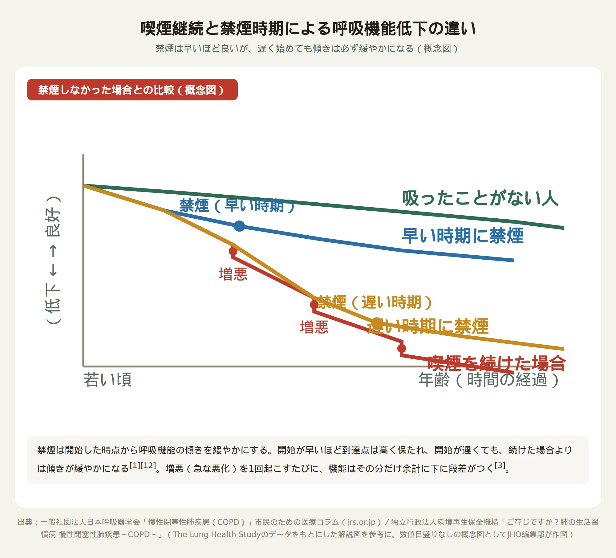 喫煙継続と禁煙時期による呼吸機能低下の違い、および増悪が機能低下を加速させることを示した図
