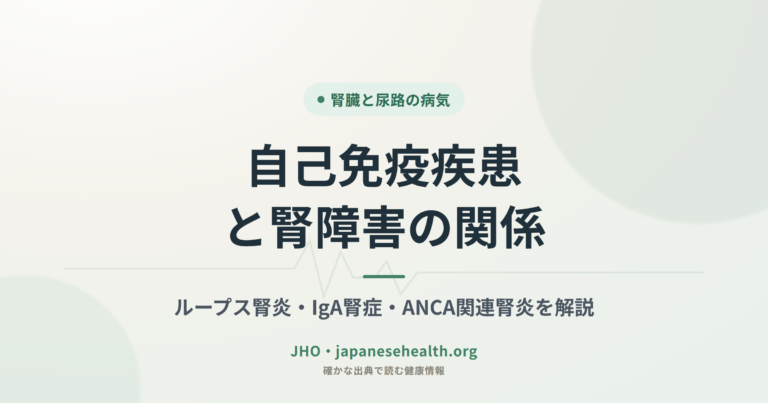 自己免疫疾患と腎障害｜ループス腎炎・IgA腎症の症状と治療