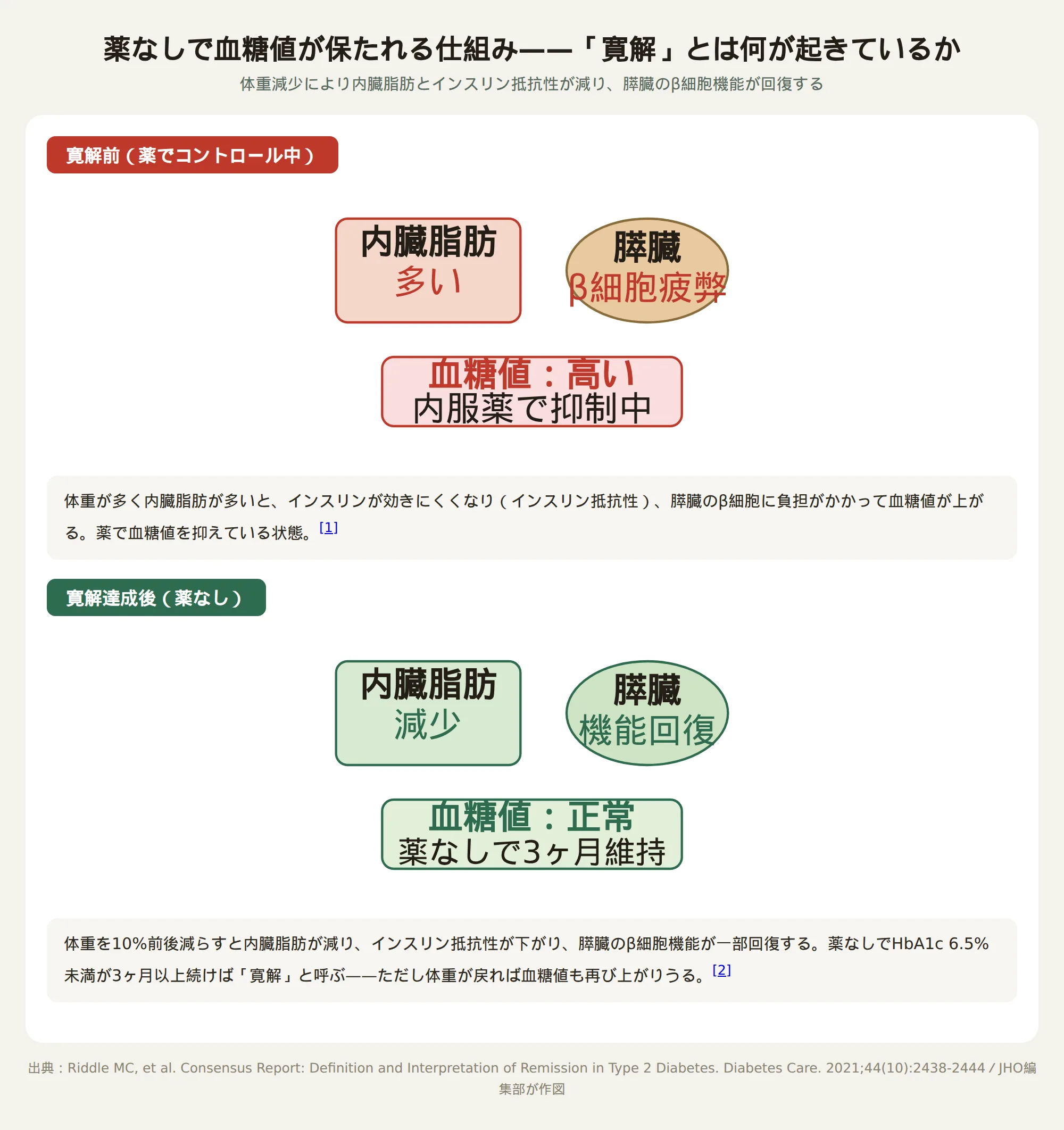 2型糖尿病の寛解の仕組み：内臓脂肪減少とインスリン抵抗性改善、膵臓β細胞機能回復の図解